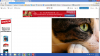 upload_2015-4-19_18-50-23.png