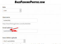 Settings for bullet20dc - Bass Fishing Photos.png