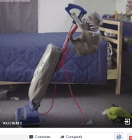 1.png 1.png