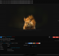 screenshot-ubuntuserver.t-ad.de-2019.12.03-00-52-05.png