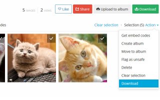 cats.jpg cats.jpg