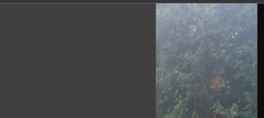 1660602353122.png
