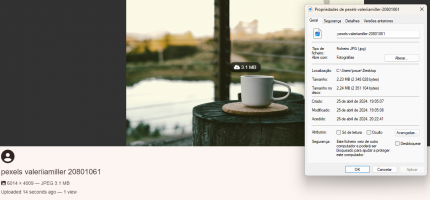 Captura de ecrã 2024-04-26 203311.png