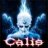 CaLiS